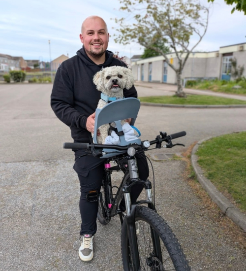 pooch my ride dog seat